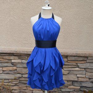 BCBG MAXAZRIA Layla Dress Blue sapphire dress EUC